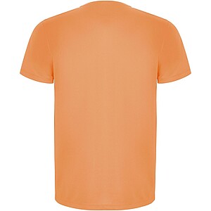 Pánské sportovní tričko s krátkým rukávem, ROLY IMOLA, oranžová, vel. S