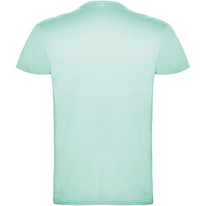 Pánské tričko s krátkým rukávem, ROLY BEAGLE, mátově zelená, vel. XS