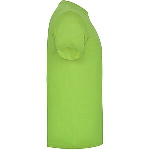 Pánské tričko s krátkým rukávem, ROLY BEAGLE, světle zelená, vel. XS