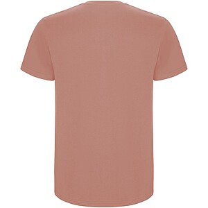 Pánské tričko s krátkým rukávem, ROLY STAFFORD, červenohnědá, S