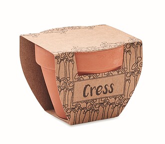 Semínka řeřichy v květináčku