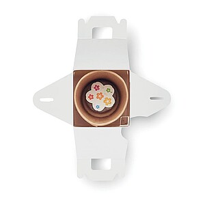 TRASIN Dětská pěstební sada se semínky květin a dřevěnou vícebarevnou pastelkou